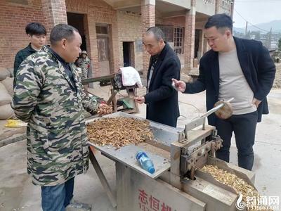 产地万里行-湖南隆回玉竹考察