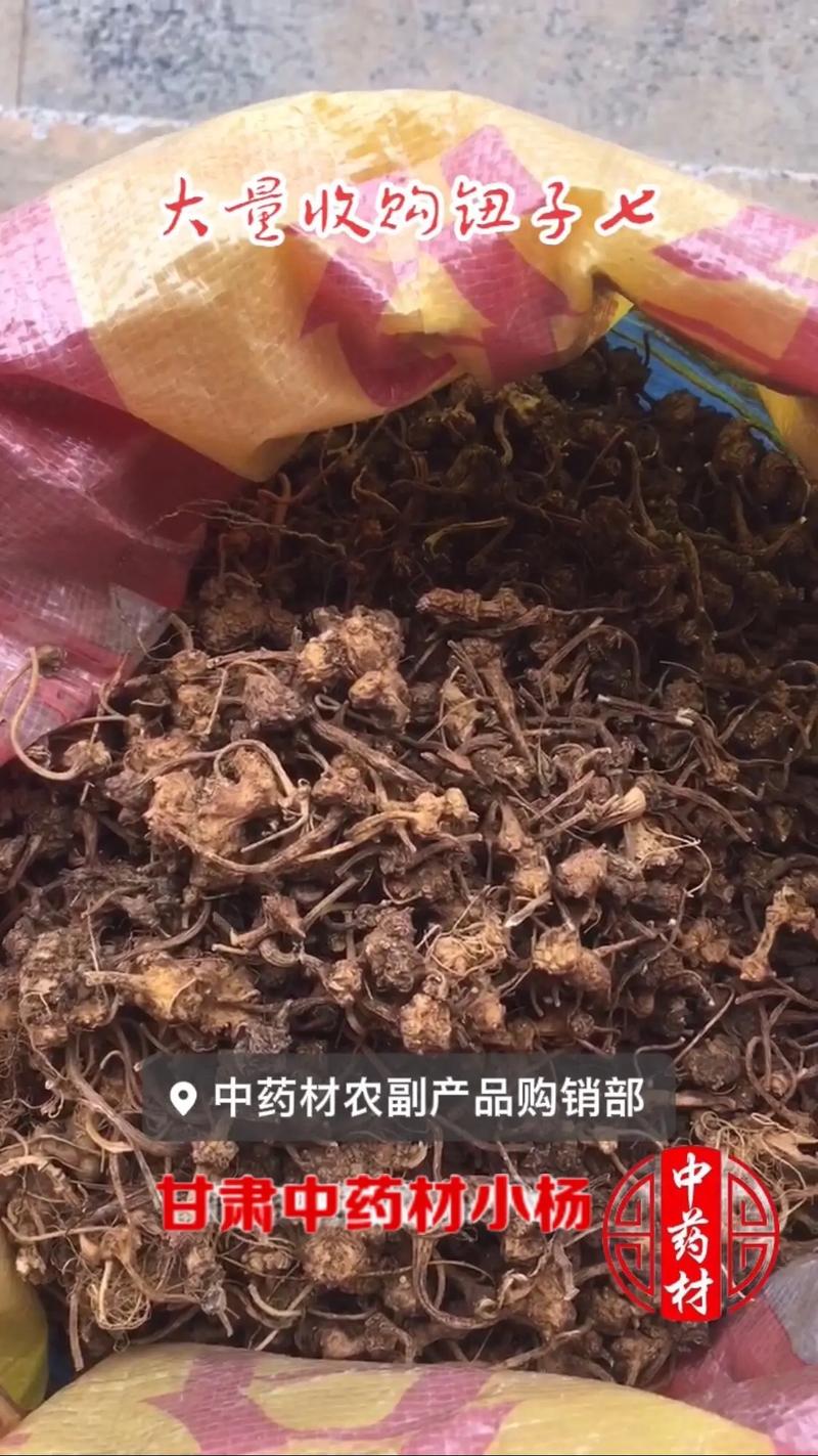 干湿都收 大量收购杜伙 大量收淫羊月 中药材 中药材农副产品