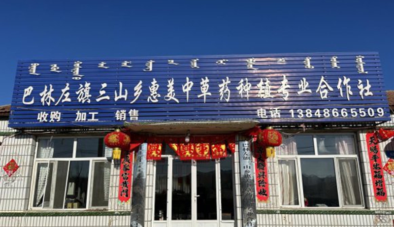 巴林左旗中药材产业带头人--孙继海